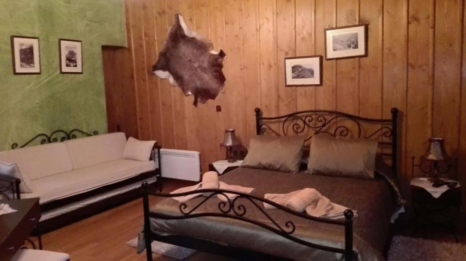 Despotikon Dimitsana Guest House - Ξενώνας Δεσποτικόν Αντωνόπουλου エクステリア 写真